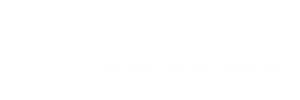 MUJTEKNIFY LIMITED | SOFTWARE COMPANY IN NIGERIA
